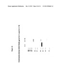 Babesia microti genomic clones containing novel antigens useful in the     diagnosis of babesios diagram and image