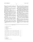 Babesia microti genomic clones containing novel antigens useful in the     diagnosis of babesios diagram and image