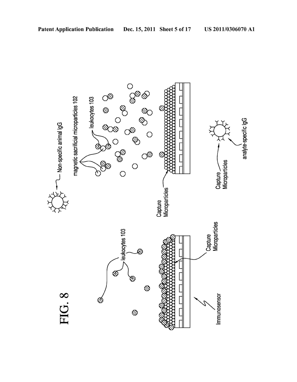 MAGNETIC BEADS FOR REDUCING LEUKOCYTE INTERFERENCE IN IMMUNOASSAYS - diagram, schematic, and image 06