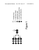 METHODS RELATED TO MODIFIED GLYCANS diagram and image