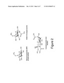 METHODS RELATED TO MODIFIED GLYCANS diagram and image