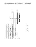 Microfluidic Device diagram and image