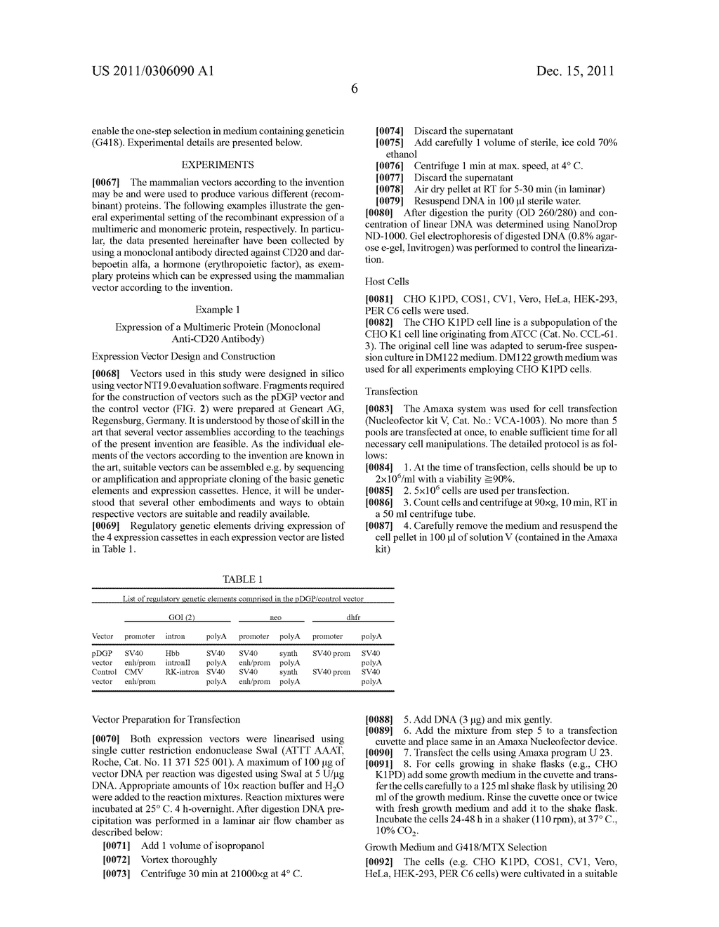 Mammalian Expression Vector - diagram, schematic, and image 12