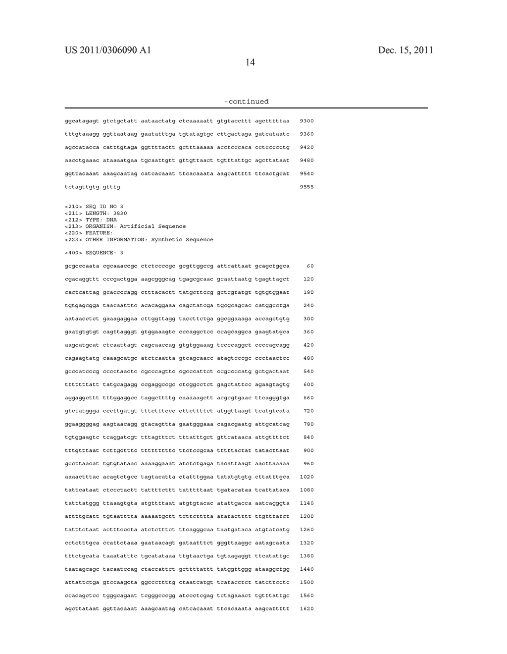 Mammalian Expression Vector - diagram, schematic, and image 20