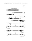 METHOD FOR OBTAINING IMMUNOGLOBULIN ENCODING NUCLEIC ACID diagram and image