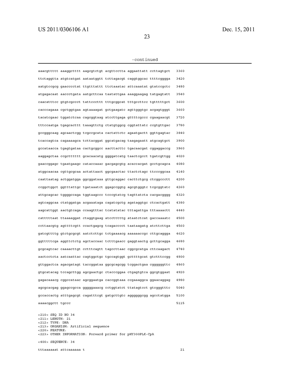 HIGH EXPRESSION PROMOTER AND METHOD FOR PRODUCING GENE PRODUCT USING SAME - diagram, schematic, and image 25