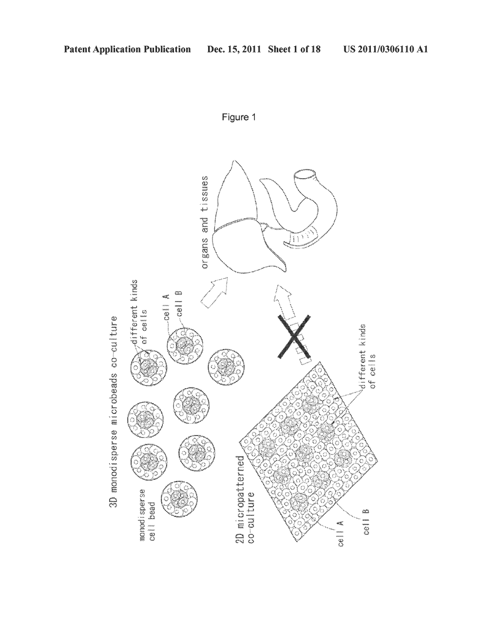 METHOD FOR THREE-DIMENSIONAL HIERARCHICAL CELL CO-CULTURE - diagram, schematic, and image 02