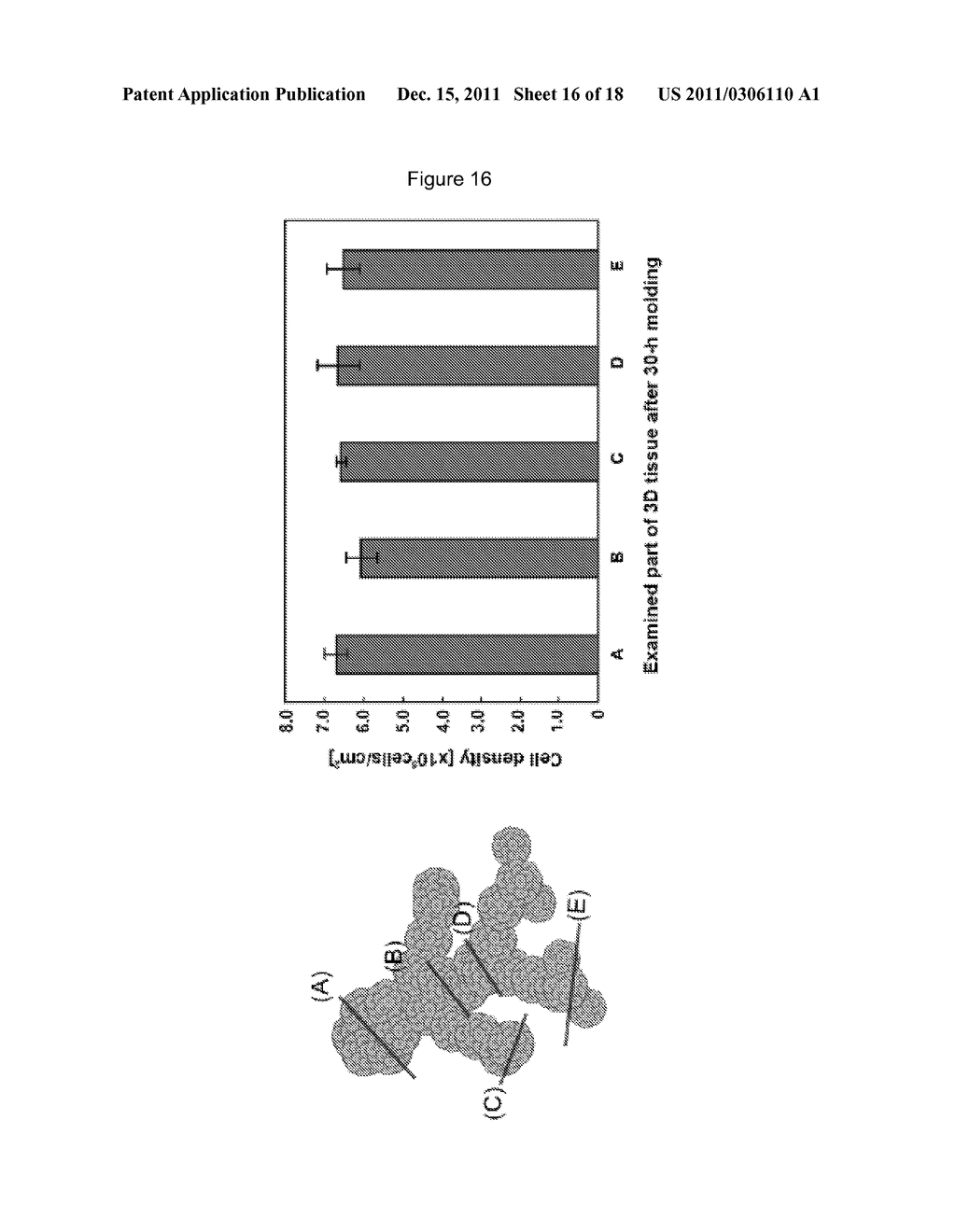 METHOD FOR THREE-DIMENSIONAL HIERARCHICAL CELL CO-CULTURE - diagram, schematic, and image 17