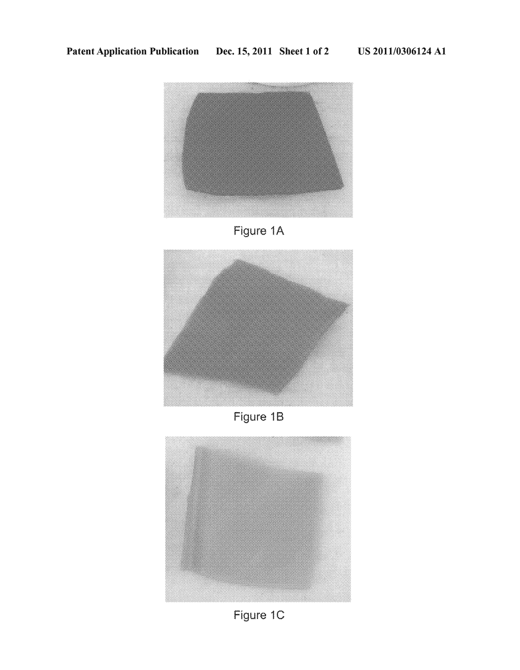 METHOD FOR DETOXIFYING A BIOLOGICAL TISSUE - diagram, schematic, and image 02