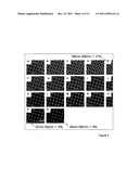 RETENTION OF A STEM CELL PHENOTYPE diagram and image