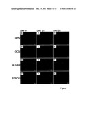 RETENTION OF A STEM CELL PHENOTYPE diagram and image