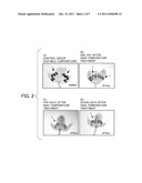 METHOD OF RESTORING MALE STERILITY IN GRAMINEOUS PLANTS AND MALE STERILITY     RESTORATIVE AGENT diagram and image