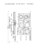 METHOD OF RESTORING MALE STERILITY IN GRAMINEOUS PLANTS AND MALE STERILITY     RESTORATIVE AGENT diagram and image