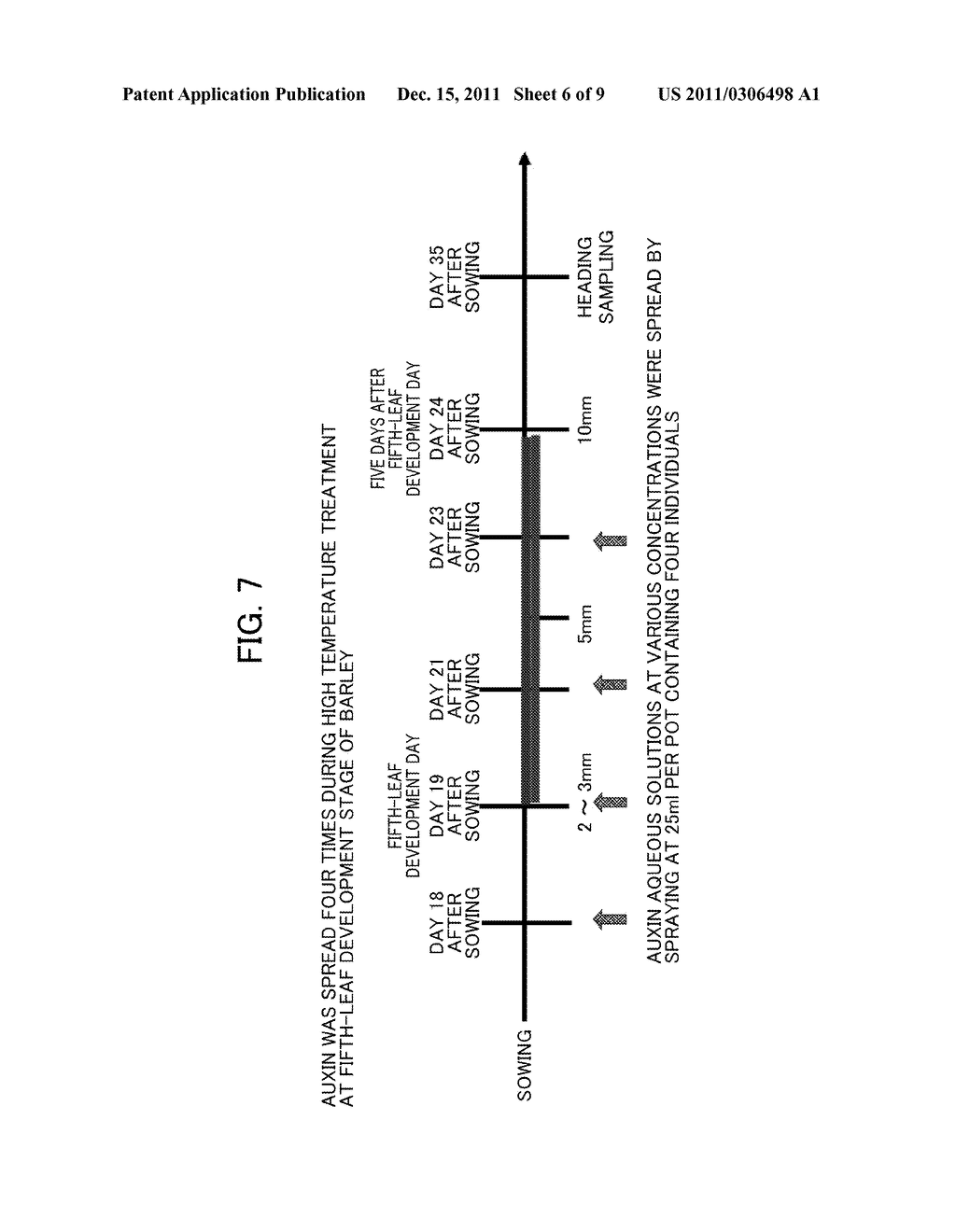 METHOD OF RESTORING MALE STERILITY IN GRAMINEOUS PLANTS AND MALE STERILITY     RESTORATIVE AGENT - diagram, schematic, and image 07