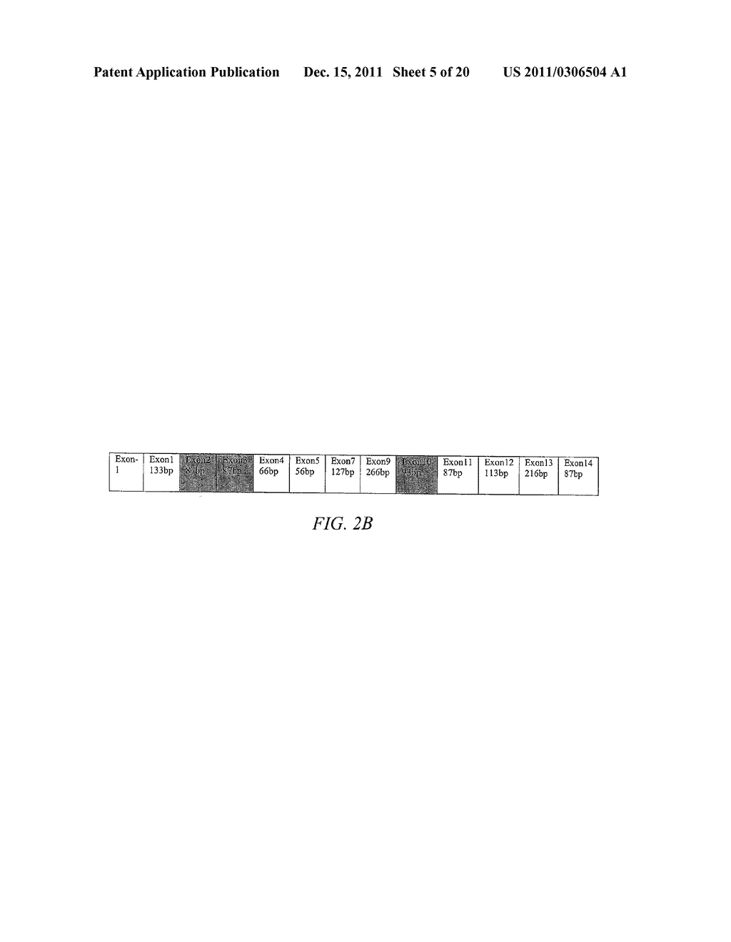 POLYNUCLEOTIDE MAPPING AND SEQUENCING - diagram, schematic, and image 06