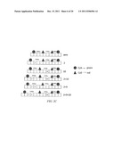 POLYNUCLEOTIDE MAPPING AND SEQUENCING diagram and image