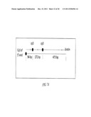 POLYNUCLEOTIDE MAPPING AND SEQUENCING diagram and image