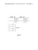 POLYNUCLEOTIDE MAPPING AND SEQUENCING diagram and image