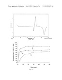 PROCESS FOR MAKING PARTICLES FOR DELIVERY OF DRUG NANOPARTICLES diagram and image