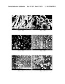 PROCESS FOR MAKING PARTICLES FOR DELIVERY OF DRUG NANOPARTICLES diagram and image