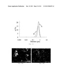 PROCESS FOR MAKING PARTICLES FOR DELIVERY OF DRUG NANOPARTICLES diagram and image