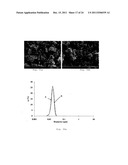 PROCESS FOR MAKING PARTICLES FOR DELIVERY OF DRUG NANOPARTICLES diagram and image