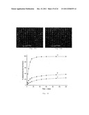 PROCESS FOR MAKING PARTICLES FOR DELIVERY OF DRUG NANOPARTICLES diagram and image