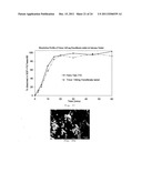 PROCESS FOR MAKING PARTICLES FOR DELIVERY OF DRUG NANOPARTICLES diagram and image