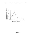 NEURAL REGENERATION PEPTIDES AND METHODS FOR THEIR USE IN TREATMENT OF     BRAIN DAMAGE diagram and image