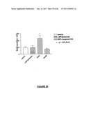 NEURAL REGENERATION PEPTIDES AND METHODS FOR THEIR USE IN TREATMENT OF     BRAIN DAMAGE diagram and image