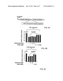 Methods for treating cancer diagram and image