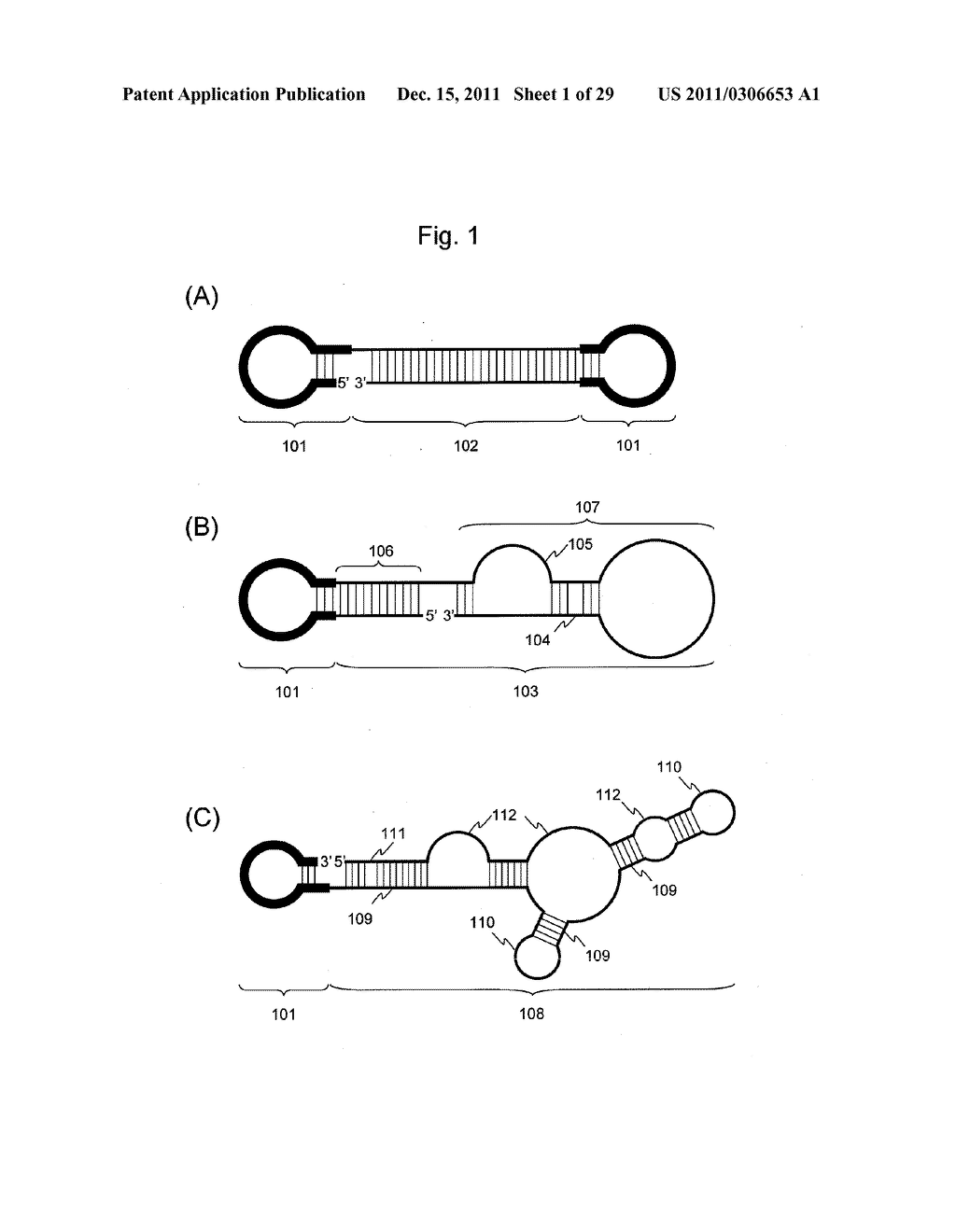 STABILIZATION METHOD OF FUNCTIONAL NUCLEIC ACID - diagram, schematic, and image 02