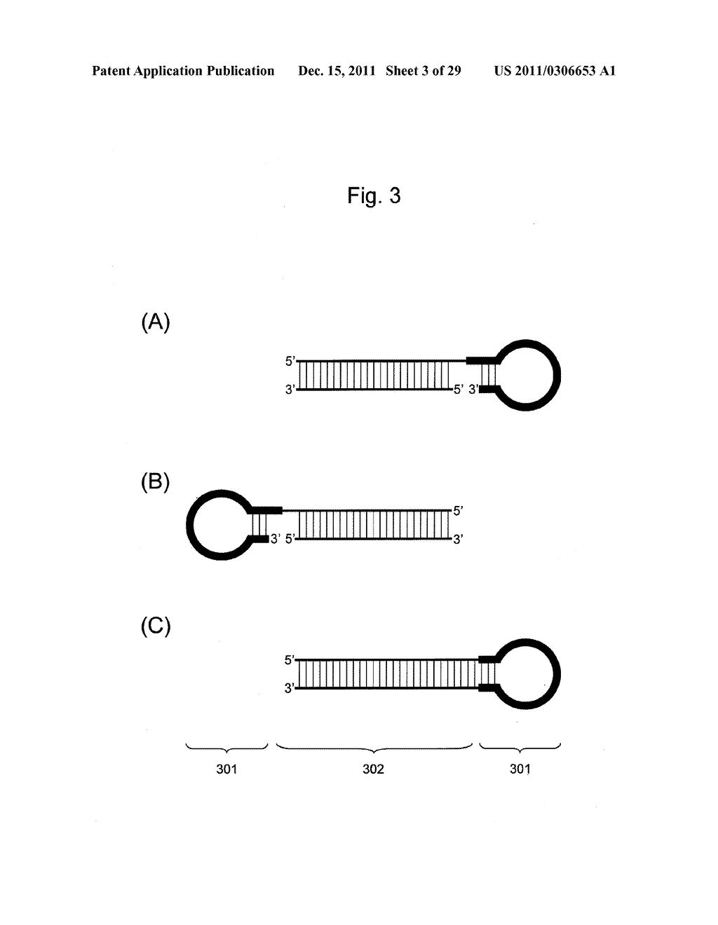 STABILIZATION METHOD OF FUNCTIONAL NUCLEIC ACID - diagram, schematic, and image 04