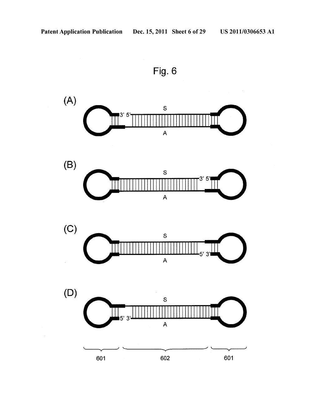 STABILIZATION METHOD OF FUNCTIONAL NUCLEIC ACID - diagram, schematic, and image 07