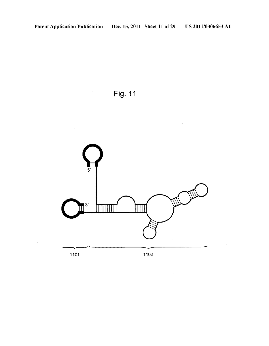 STABILIZATION METHOD OF FUNCTIONAL NUCLEIC ACID - diagram, schematic, and image 12