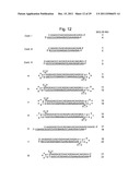 STABILIZATION METHOD OF FUNCTIONAL NUCLEIC ACID diagram and image