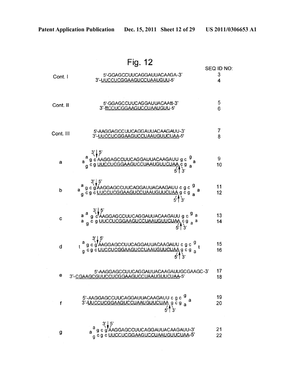 STABILIZATION METHOD OF FUNCTIONAL NUCLEIC ACID - diagram, schematic, and image 13