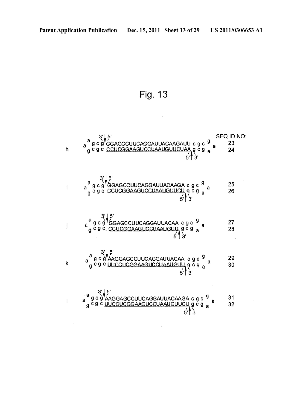 STABILIZATION METHOD OF FUNCTIONAL NUCLEIC ACID - diagram, schematic, and image 14