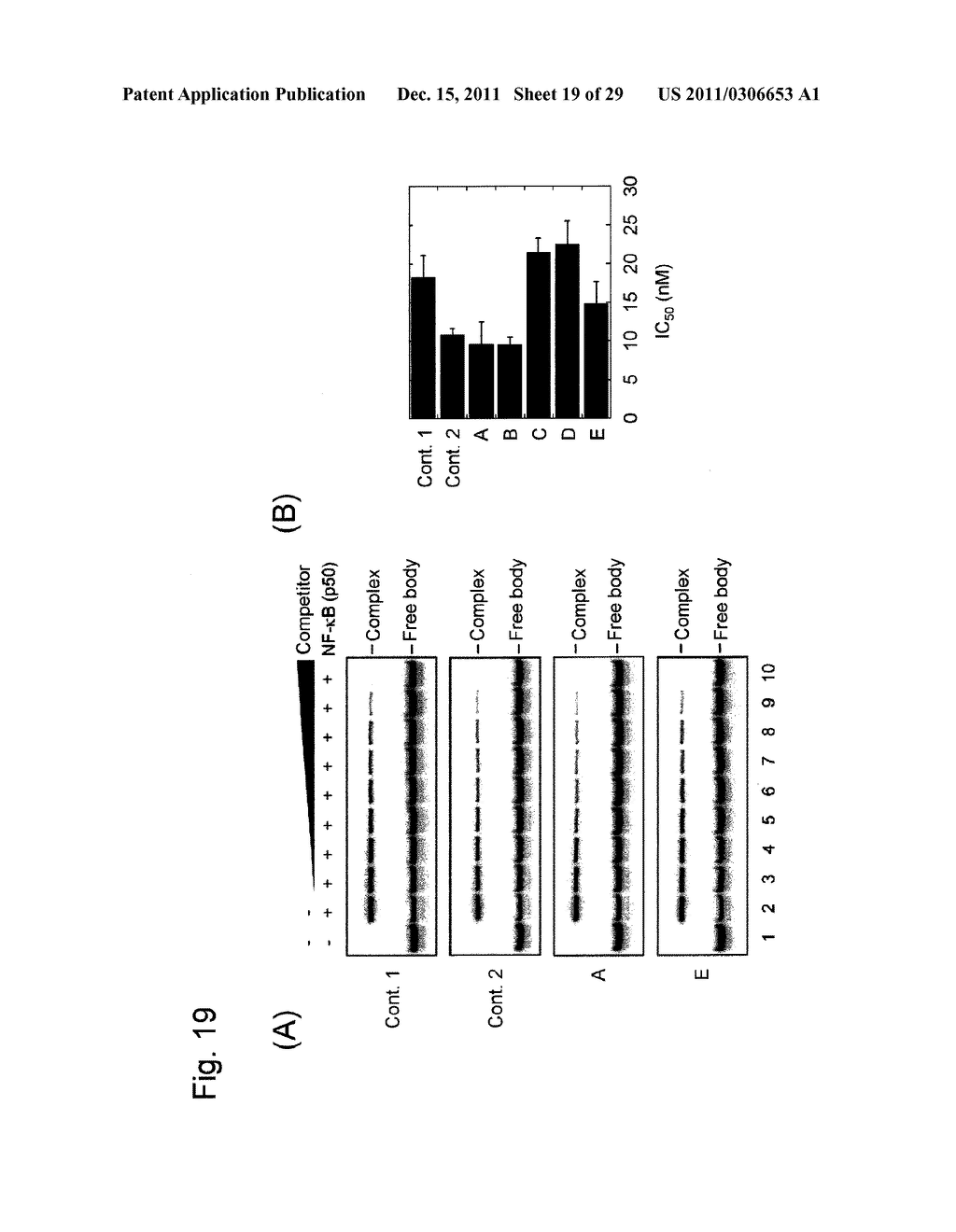 STABILIZATION METHOD OF FUNCTIONAL NUCLEIC ACID - diagram, schematic, and image 20