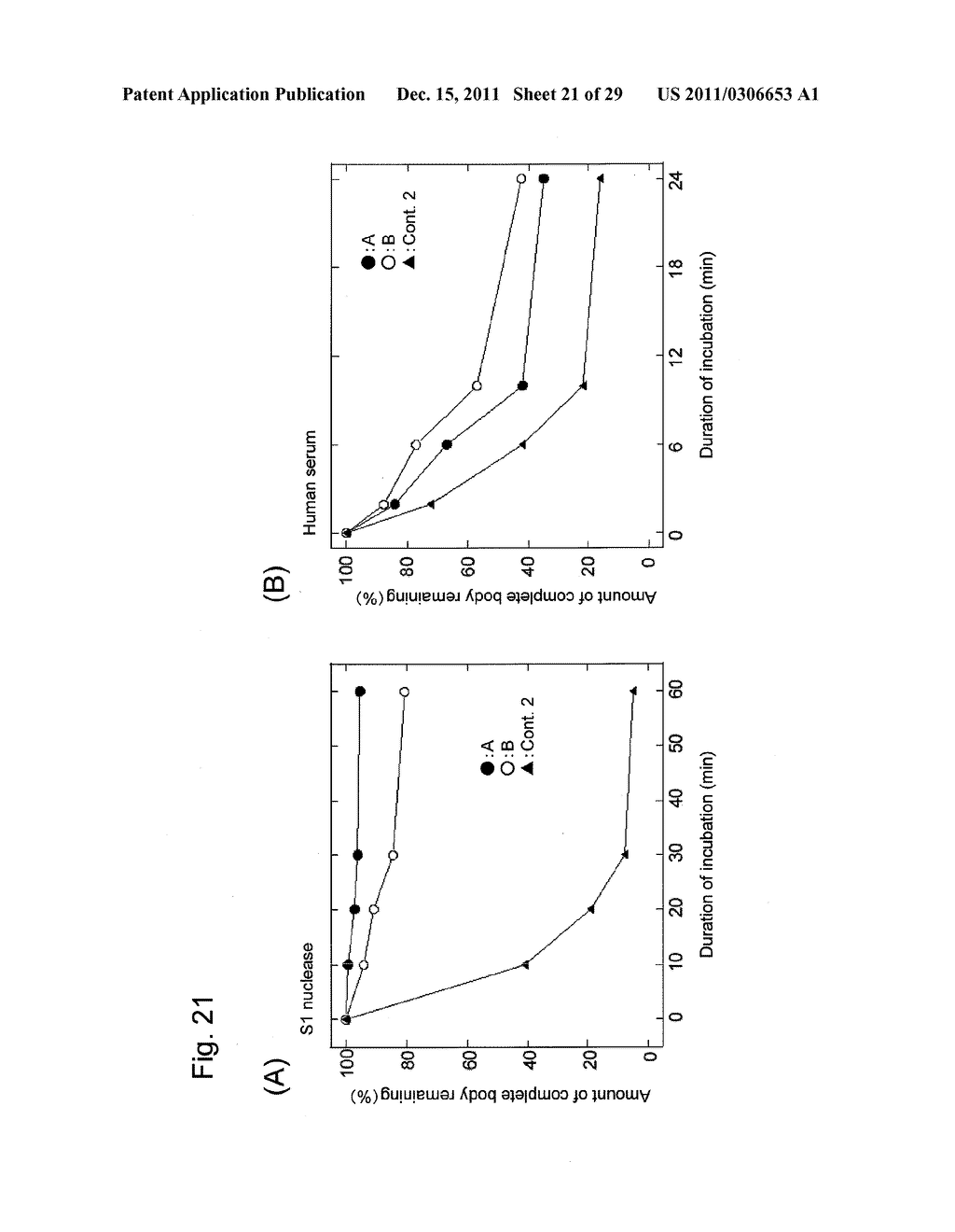 STABILIZATION METHOD OF FUNCTIONAL NUCLEIC ACID - diagram, schematic, and image 22