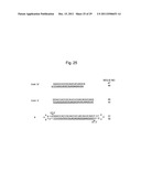 STABILIZATION METHOD OF FUNCTIONAL NUCLEIC ACID diagram and image