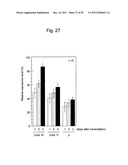 STABILIZATION METHOD OF FUNCTIONAL NUCLEIC ACID diagram and image