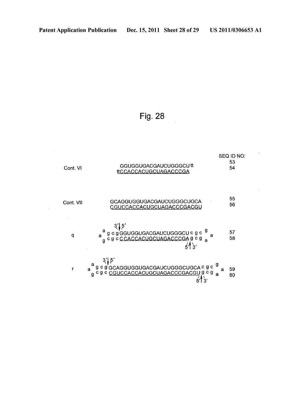 STABILIZATION METHOD OF FUNCTIONAL NUCLEIC ACID - diagram, schematic, and image 29