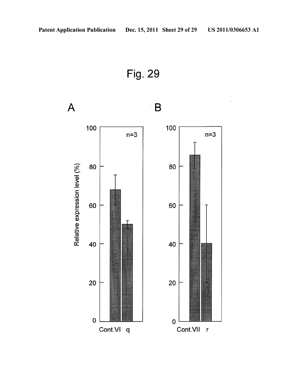 STABILIZATION METHOD OF FUNCTIONAL NUCLEIC ACID - diagram, schematic, and image 30