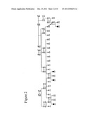 Methods for identifying analgesic agents diagram and image