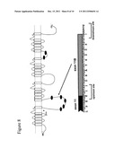 Methods for identifying analgesic agents diagram and image