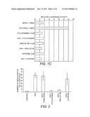 Steroid-Derived Cyclopamine Analogs and Methods for Using the Same in the     Prevention or Treatment of Cancer diagram and image