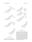 Steroid-Derived Cyclopamine Analogs and Methods for Using the Same in the     Prevention or Treatment of Cancer diagram and image