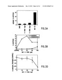 COMPOSITIONS AND METHODS FOR INHIBITING NF-KB MEDIATED TUMORIGENICITY AND     ADHESION-DEPENDENT SURVIVAL OF CANCER CELLS diagram and image