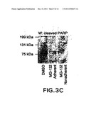 COMPOSITIONS AND METHODS FOR INHIBITING NF-KB MEDIATED TUMORIGENICITY AND     ADHESION-DEPENDENT SURVIVAL OF CANCER CELLS diagram and image